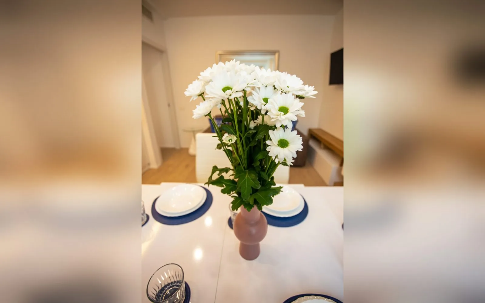 Angel's House, 
